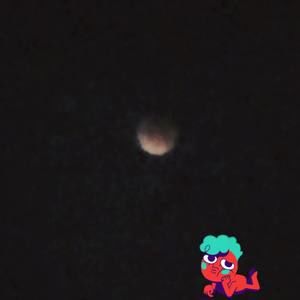 Meet your Posher, Lucy